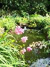 Liskeard- Moyclare Garden